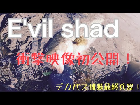 E'vil shad(イービルシャッド) PV / FINAL WEAPON