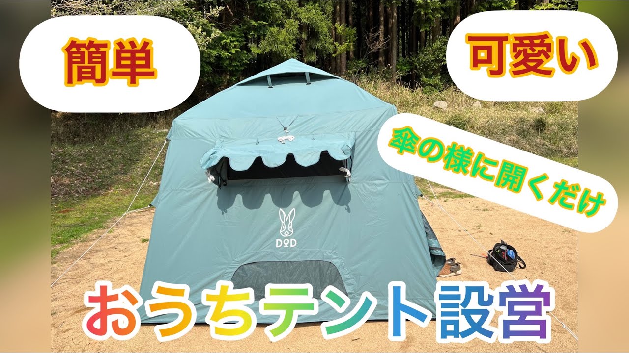 【キャンプギア紹介】DODおうちテントの初設営、1人でも簡単に建てれて可愛いテント。#アウトドア#ナースキャンパー#キャンプ#DOD #テント設営