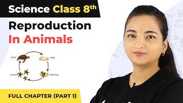 Class 8 Science Chapter 9 | Reproduction In Animals Full Chapter Explanation (Part 1)