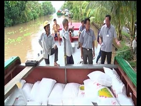 Video HGTV | Bắt giữ gần 40 tấn lúa giống RVT không rõ nguồn... - youtube