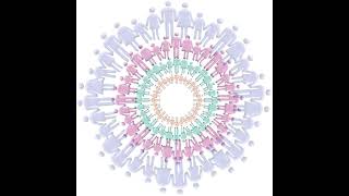 Demystifying Disorders: Avoidant Personality Disorder, Part 1
