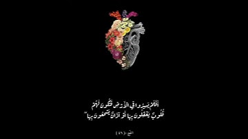 سورة الحج اية  (٤٦) | العفاسي