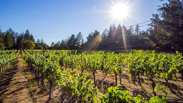 BILL AP Automation Helps Clif Family Focus on Efficiency and Sustainability