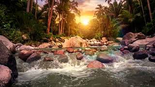 Acoustic Ambient, Nature Sounds, Focus Music, Relaxation, Study 🌿 Woodland River Journey #music