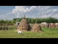 Олы юлнын тузаны, татарская старинная песня, кавер