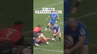 モールからトライラインに飛び込みトライ🔥埼玉パナソニックワイルドナイツ🔵⚔️クレイグ・ミラー選手🔥 #NTt'リーグワン #リーグワン