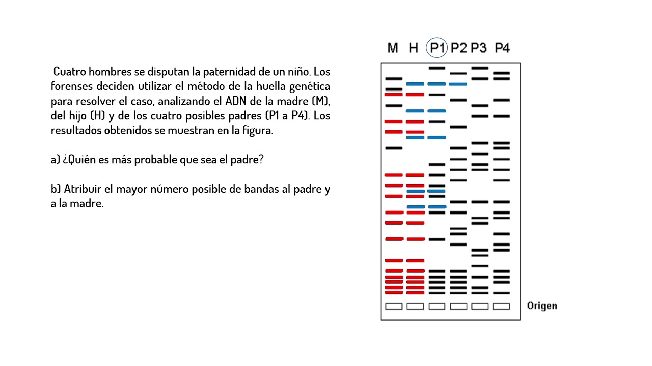 Top 85+ imagen padre de la genetica forense - Thcshoanghoatham-badinh ...