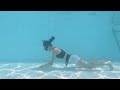 Underwater yoga 🏊♂️