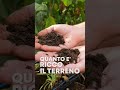 Ho dei BUCHI nel TERRENOðŸ•³