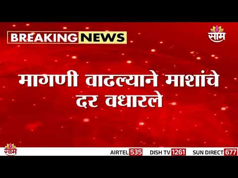 खवय्यांच्या खिशाला कात्री! गणेशोत्सवानंतर मासळीच्या दरात दुप्पट वाढ | Fish Rate Hike