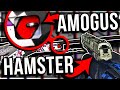 THE WORST PATTERNS IN CS:GO (AMOGUS, HAMSTER, JESUS)