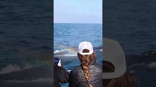 When The Is Just Right