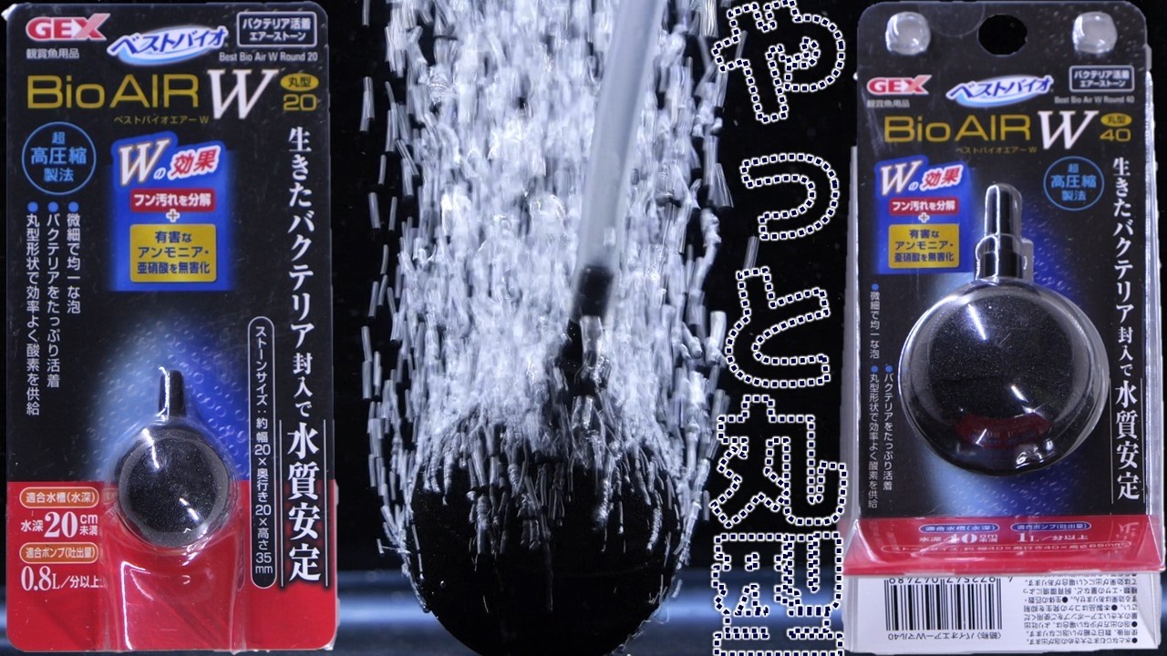【エアーストーン】小さな丸型が出たので、使うとフィルターが入らない容器でアンモニア系統と汚れを分解できる時代に!?GEX ベストバイオエアーW丸型20/丸型40【ふぶきテトラ】