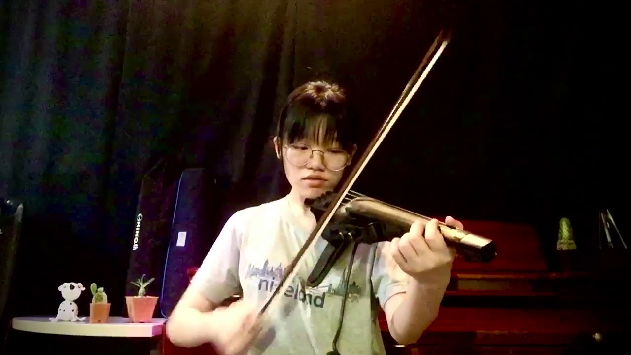 Violin last