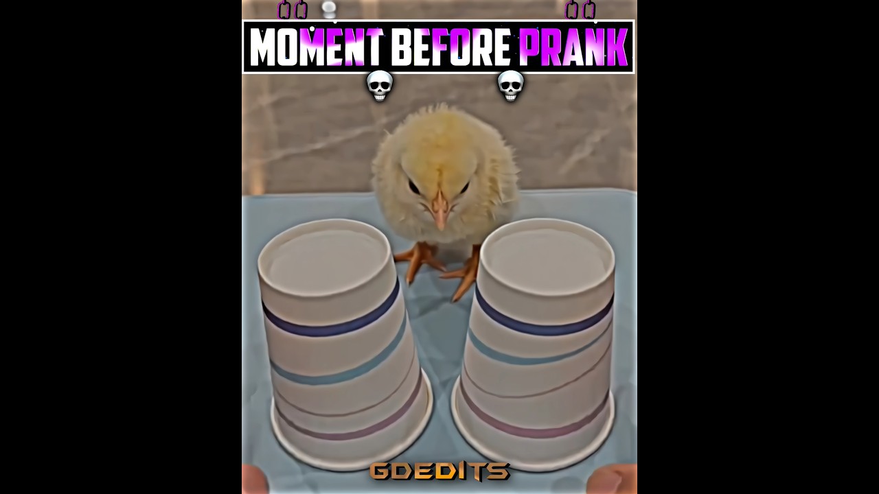 watch it loop ☠️👆