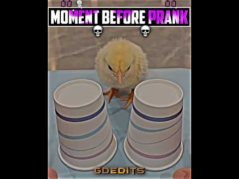 watch it loop ☠️👆