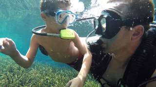 Caleb Diving 04/02/17