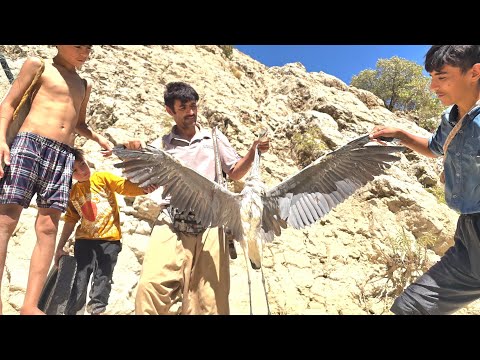 A Heartwarming Journey To The River Finding A Strange Bird And Bringing It Home