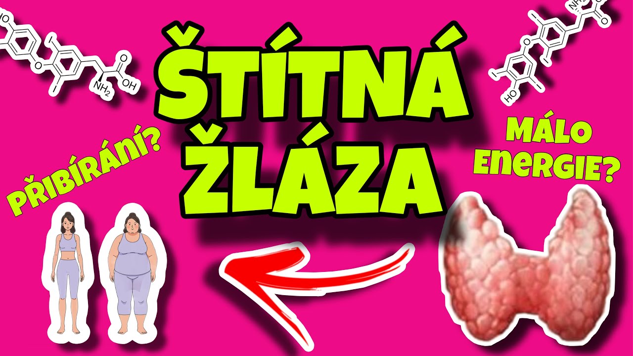Tento orgán rozhoduje, jestli přibíráte, jste unavení nebo plní energie (štítná žláza+její hormony)