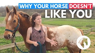 WHY YOUR HORSE DOESN’T LIKE YOU (and what to do about it)