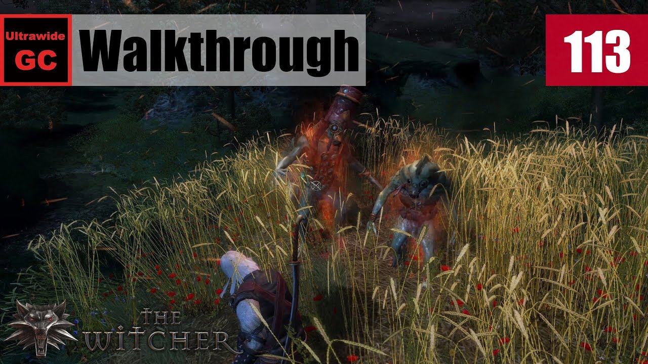 The Witcher [#113] - Chapter 4 - The Vodyan Priest - Teyu ...