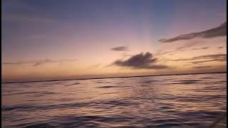 0f19076385087d20a0efe8efa37d7552