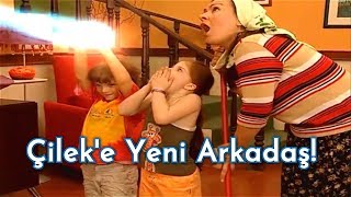 Çilek'in Arkadaşı Berk! - Sihirli Annem