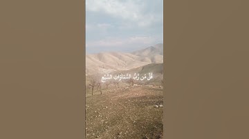#القارئ_ياسر_الدوسري #سورة_المؤمنون #القرآن_الكريم