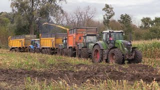 Maïs 2023 | Wiverco | Krone Big X 1180 stuck | 2x Dezeure stuck |Fendt+ 3 asser Dezeure om te slepen