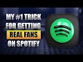 The Spotify Artist Playlist Promotion Trick That Grows Your Fanbase Each Week  // SPOTIFY PROMOTION