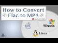 How fast to convert flac to mp3 and wma wav m4a mac os x windows linux vlc