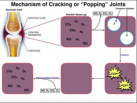 Physiological Mechanism of Popping (