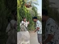 جبلها هدية جميلة جدا