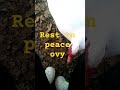 Oldie but goldie #2016  #rosevlogs#memorablemoments #bestyoutuber #smallyoutuber#cute#youtuberslife