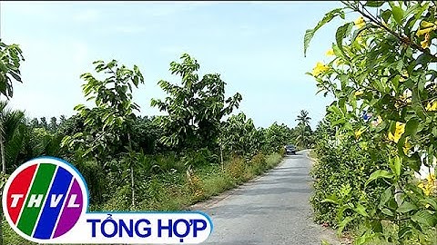 Vĩnh Long có 48 xã nông thôn mới và 6 xã nông thôn mới nâng cao