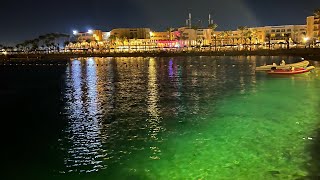 Fish at the pier beach albatros resort hurghada/Рыбы у пирса beach albatros resort hurghada