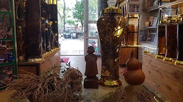 Rượu sâm đương quy ngon như thế nào