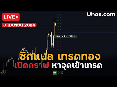 🔴Live ซิกแนล XAUUSD 8 เมษายน  2024 