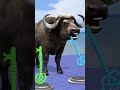 Long Slide Game with Cow Elephant Gorilla Hippopotamus Tiger 3d Animal Game Funny 3d Animals