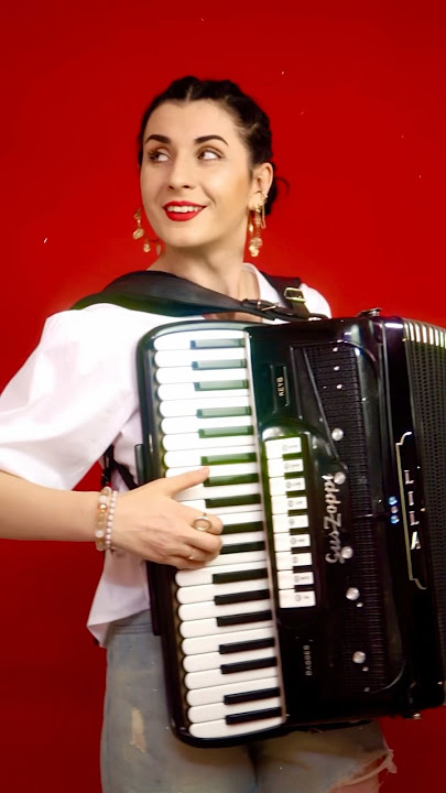 This is not what you expect to hear on accordion 😅 #havan #pop #accordion #femalemusicians