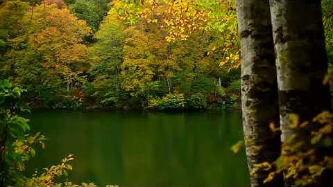 سورة الفلق بصوت القارئ أحمد بن محمد الحواشي