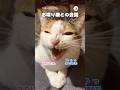愛猫との会話が楽しい🐱｜PECO