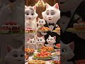 cute cat food together #shortvideo #shorts #cat #funny