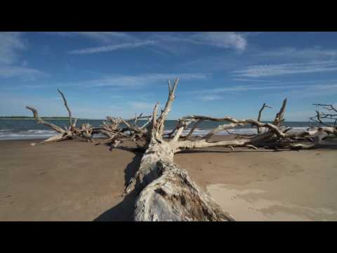 Florida Travel: Welcome to Atlantic Beach & the Talbot Island State Parks