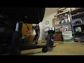 Kitty play in 3D VR