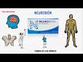 NEUROBIÓN | PARA QUÉ SIRVE?