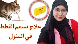 علاج تسمم القطط بسرعة في المنزل🐈فيديو مهم لجيمع مربيي القطط💯