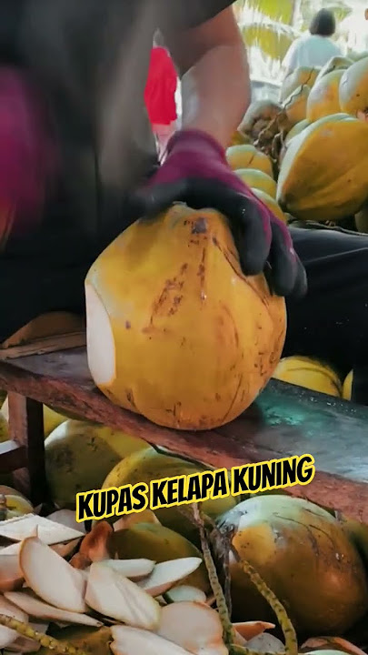 ENAK DIPANDAG APA LAGI DI MUNUM. KUPAS KELAPA MUDA KUNING