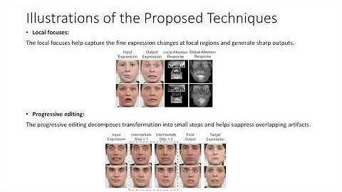 Cascade EF-GAN: Progressive Facial Expression Editing With Local Focuses