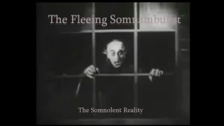 The Fleeing Somnambulist - Paralysis (Dark Ambient Industrial)